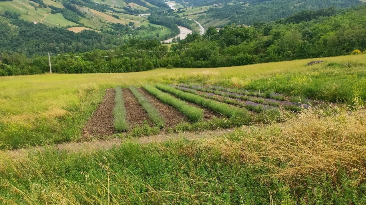 La Finestra Sul Mondo Hotel Marano sul Panaro Екстериор снимка